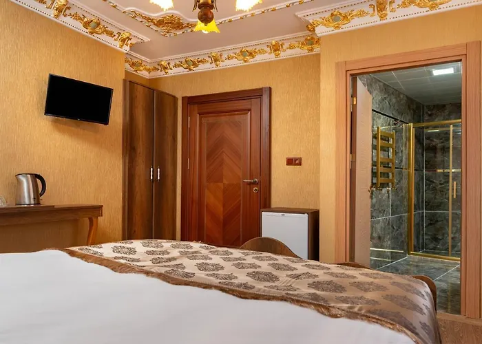 The Ottoman * 伊斯坦布尔