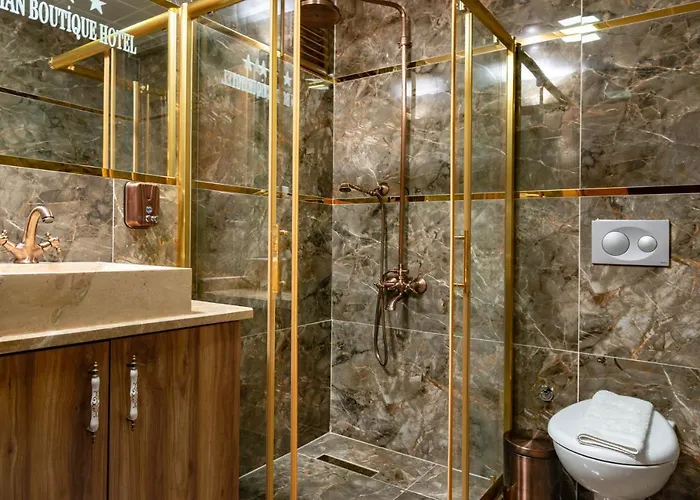 The Ottoman 酒店 伊斯坦布尔