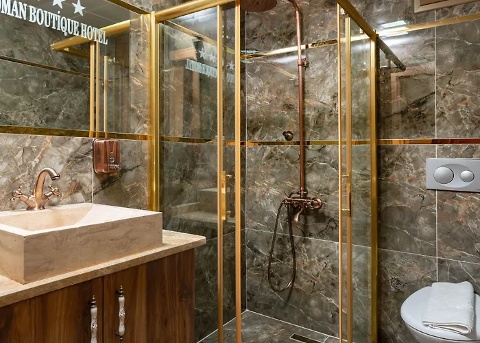 The Ottoman 酒店 *